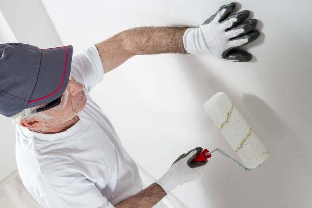 Best Real Estate Mold Inspection  in Battlement Mesa, CO